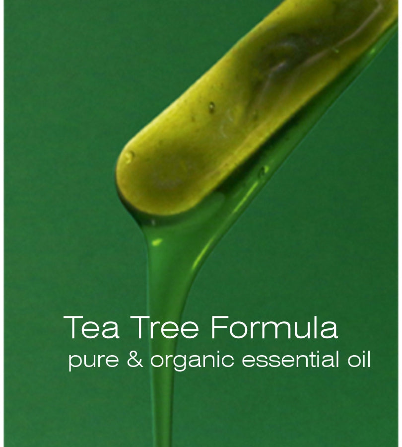Natural Way Hard Wax: Face & Body Waxing | Tea Tree Oil "Purify" Hard Wax Warmer Kit